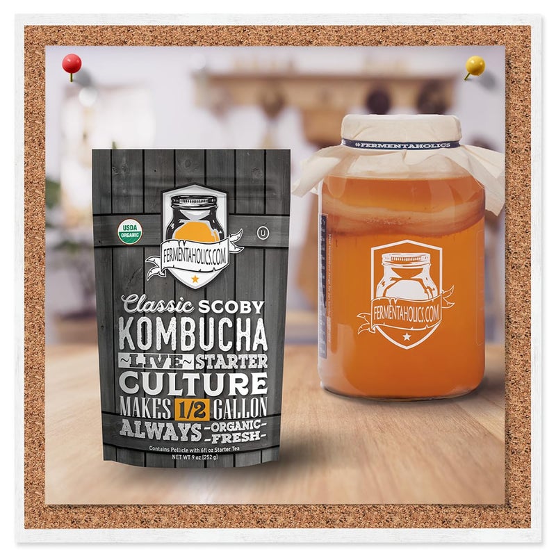 Fermentaholics Kombucha SCOBY - Live Starter Culture - Start A Half Gallon Batch - Six Ounces Of Strong Mature Starter Tea - Brew Your Own Kombucha - Image 4